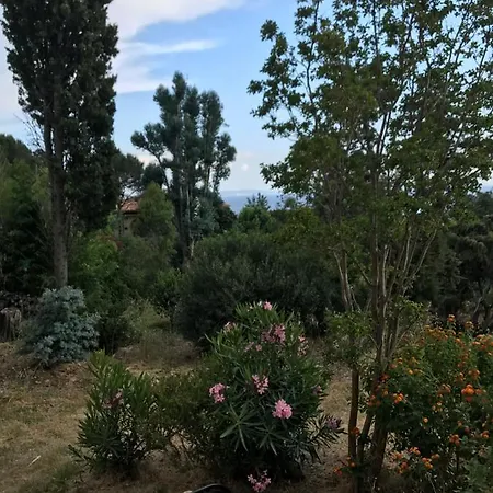 Lejlighedshotel La Terrasse De La Le Rayol-Canadel-sur-Mer
